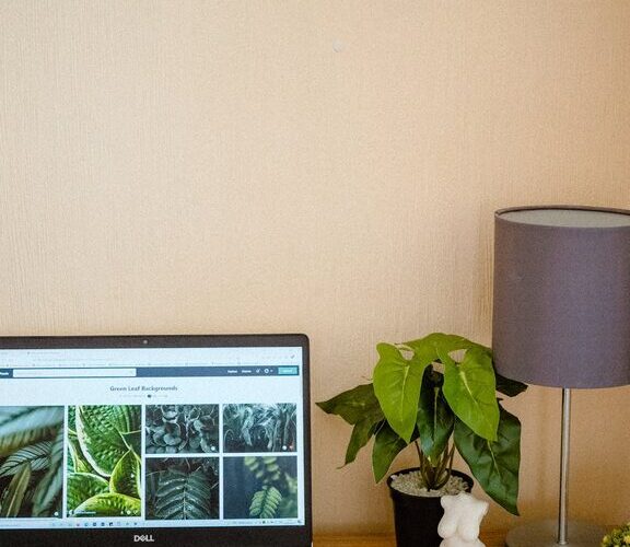 Tips for Creating a Cozy and Productive Home Office Space